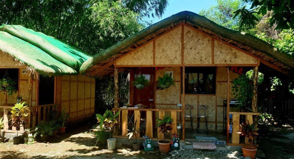 Traditional Filipino Transient House And Huts Near 100 Islands Wharf Alaminos Ngoại thất bức ảnh