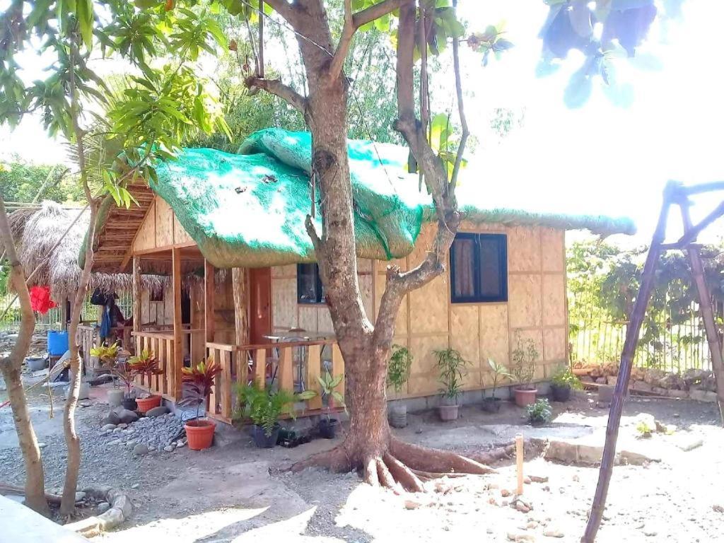 Traditional Filipino Transient House And Huts Near 100 Islands Wharf Alaminos Ngoại thất bức ảnh