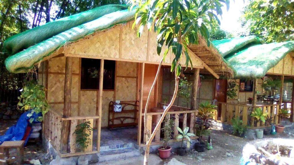Traditional Filipino Transient House And Huts Near 100 Islands Wharf Alaminos Ngoại thất bức ảnh